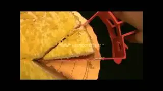 Adjustable Cake Cutter