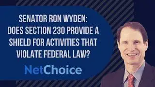 Does Section 230 provide a shield for violations of federal law?