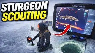 Sturgeon Spearing Scouting | UNEXPECTED Walleye Action!