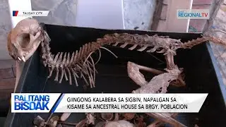 Balitang Bisdak: Talisay City Vet, mipasabot nga kalabera sa iring ang nakit-an sa kisame