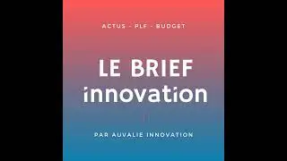 Le Budget Bayrou : Crise, Rigueur et Innovation Incertaine - impact sur la politique publique d'i...
