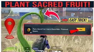 BGMI Week 3 Mission: Plant a Sacred Fruit 1 Time in Classic Mode | Primewood Genesis Guide