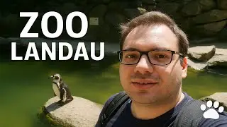 Die Wildnis muss erforscht werden