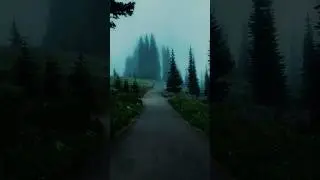 NBSPLV - Nightfall