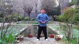 Maître Li Peng Cheng Nei Yang Gong 2ème Partie