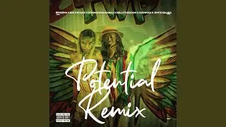 Potential Remix (Feat. Boutross, Domani Wakadinali, Nellythegoon, Kushman & Jimito Baaba)