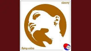 Flying Cobra (Original Mix)