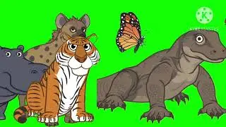 Meet the animals stampede green srceen 