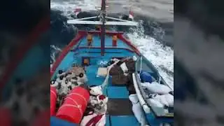 Badai perairan papua ombak setinggi 3 meteran kapal km