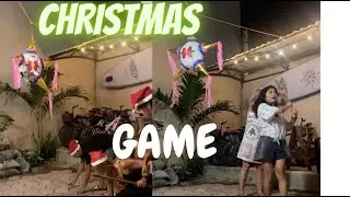 The most amazing Christmas celebration I have ever had in Mexico