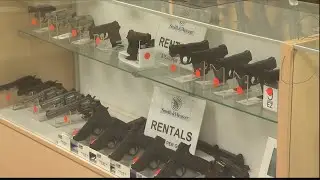 More women learning gun safety, buying guns