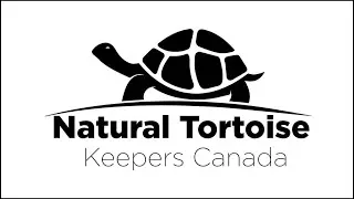 Tortoise beak trim 