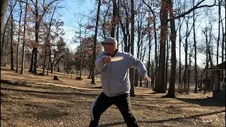 Coleman Memorial Park Disc Gold Course 