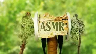 Nature ASMR - Lichen  Ear Cleaning (4K)