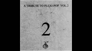 A TRIBUTE TO FLEXI POP VOLUME II