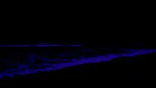 No Ads ADHD Sleep Therapy for Deep Sleep &bull; Calming Ocean Ambience For Peaceful Waves In Quiet Night