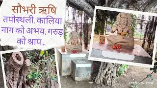 पौराणिक राम ताल, सौभरी ऋषि की तपोस्थली, वृंदावन, सुनरख गाँव #youtube #krishna #vrindavan #youtuber