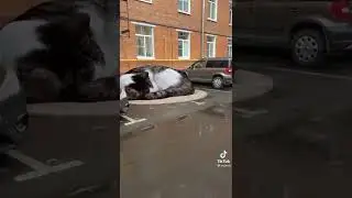 Кушай хорошо и вырастишь большой👍 eat well and grow big