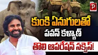 Operation Successful! Pawan Kalyan Uses Kumki Elephants for First Time | Telugu Popular TV