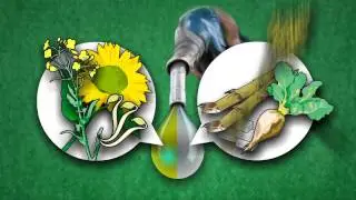 BUY THIS PENNY STOCK NOW!!! -USEI US Energy Initiatives Corporation, Inc.