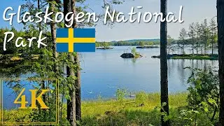 4K Virtual Walk Stora Gla, Glaskogen Nationalpark Sweden Part 1
