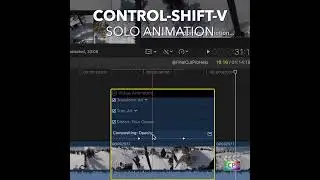 Final Cut Pro Shortcut | Control-Shift-V | Solo Animation