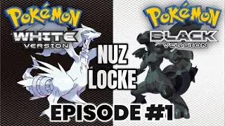 FIRST TIME PLAYING, AND I&rsquo;M DOING A NUZLOCKE?? - Pok&eacute;mon Black and White Nuzlocke Episode 1