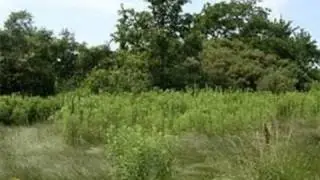 Real estate for sale in Oregon Twp Michigan - MLS# 214037888