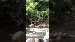 ustedes que opinan, saludos👍🙋&zwj;♂️