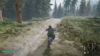 Days Gone PS5