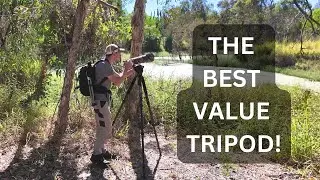 The best tripod for photography and video (Don’t make my mistakes!)