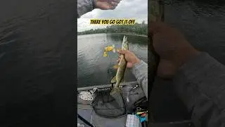 Alright Pikachu, I Choose You! ⚡️💥 #fishing #topwater to battle a northern pike! #pokemon #pikachu