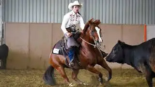 My Jimmy Rey 2014 Gelding