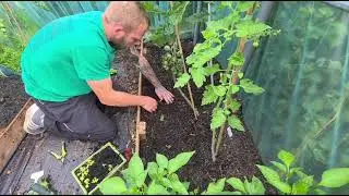 August Harvest and planting for winter crops