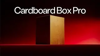 Представляем Cardboard Box Pro | Подарок, который удовлетворит все потребности вашей кошки.