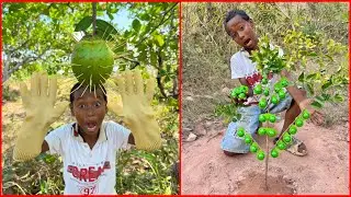 Survival Skills: SMART idea and USEFUL with single mom in forest #bushcraft #camping #outdoors #idea