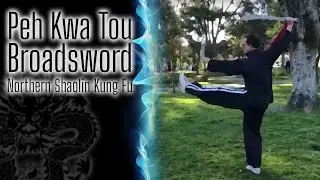 NORTHERN SHAOLIN BROADSWORD - BAK SIU LAM PEH KWA TOU - FAC&Atilde;O SHAOLIN DO NORTE