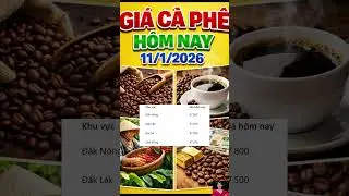 Gi&aacute; c&agrave; ph&ecirc; h&ocirc;m nay 11/1/2026 | Gi&aacute; c&agrave; ph&ecirc; mới nhất Ti&ecirc;n Lisa