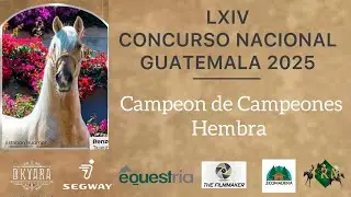 Campe&oacute;n de Campeones Hembra del LXIV Concurso Nacional Guatemala 2025