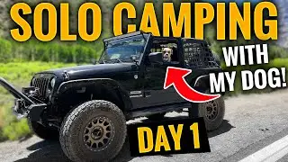 Day 1 | Solo Camping And Fishing With My Dog | June Lake