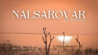 Nal Sarovar Bird Sanctuary | Best Place to Visit near Ahmedabad | Nal Sarovar Boating #nalsarovar