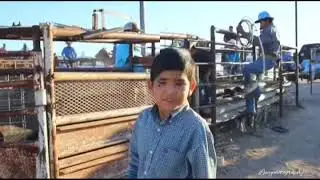 Lazo de chivas ejido el venadito 