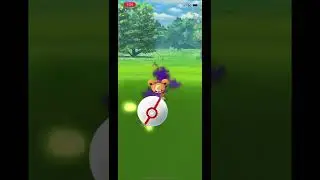 Pok&eacute;mon go teddiursa