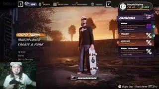 Tony Hawk pro skater 1 and 2 remake(серия3)