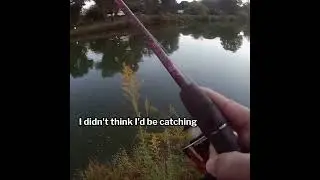 This reel has a questionable drag!