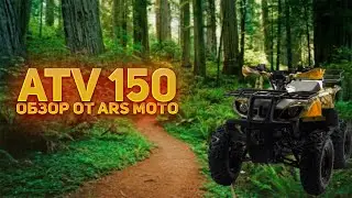 Бензиновый квадроцикл ATV 150 - обзор