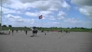 Landsfinaler 2015 - Ponygames afd. C - Bogstavleg - x2