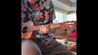 Kala KA-SA-B baritone ukulele demonstration