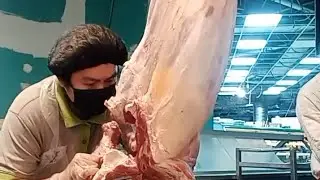 Cutting Hind Leg Camel 🔪 #newbie 