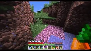 Freedom SMP : Ep 13 : Bunny Killer